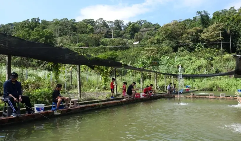 桃園農場釣魚全攻略：地點推薦、技巧教學與實用資訊