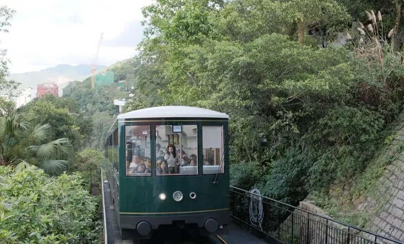 香港太平山一日遊終極指南：交通、景點、夜景與避坑全攻略