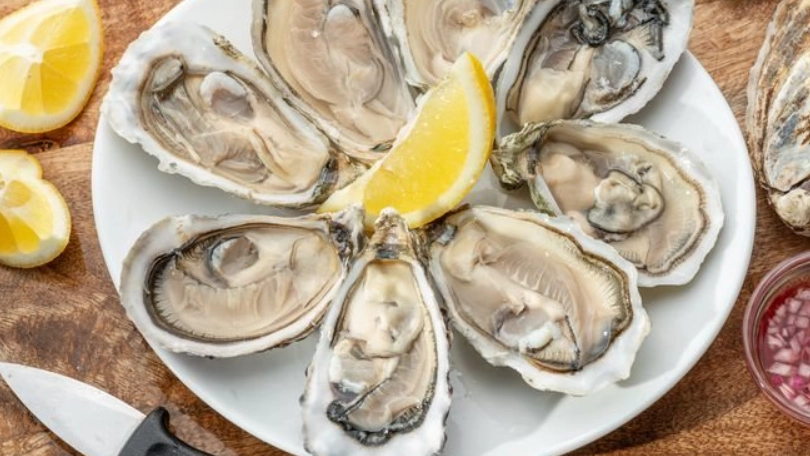 牛奶海鲜搭配 牛奶海鲜搭配