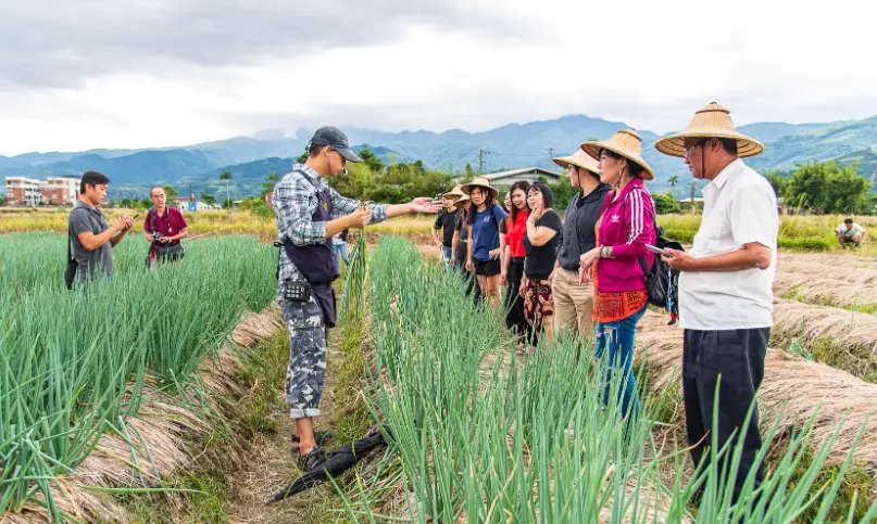 北部農場體驗全攻略：從採果到餵羊，親子同樂的田園之旅