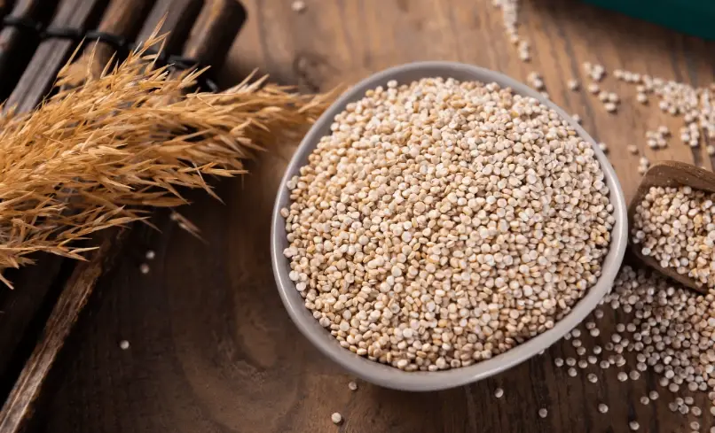 藜麥 磷含量 藜麥 磷含量