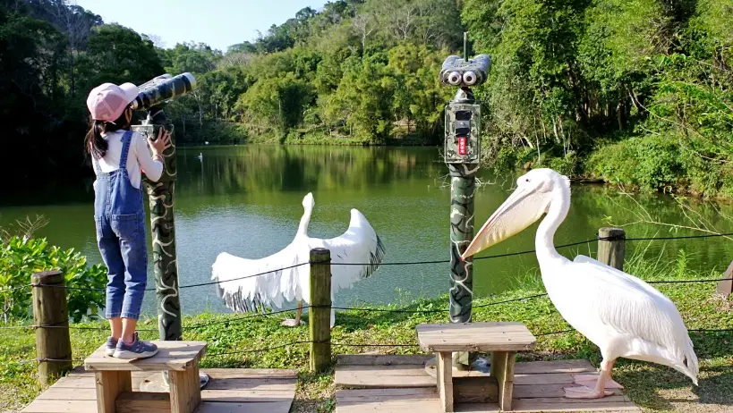 親子農場推薦 親子農場推薦