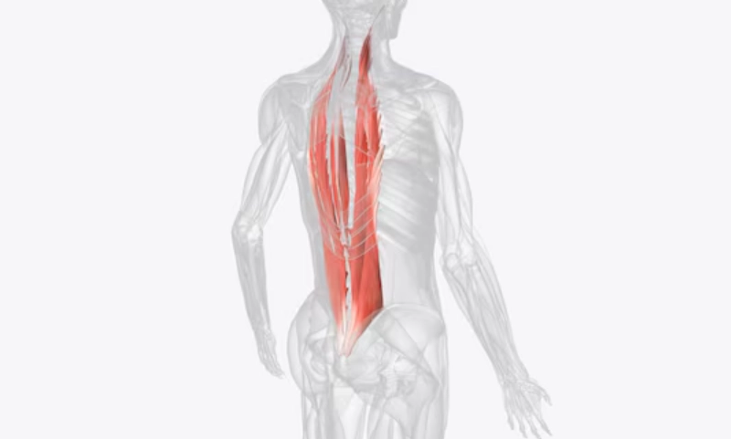 腰痠背痛改善 腰痠背痛改善