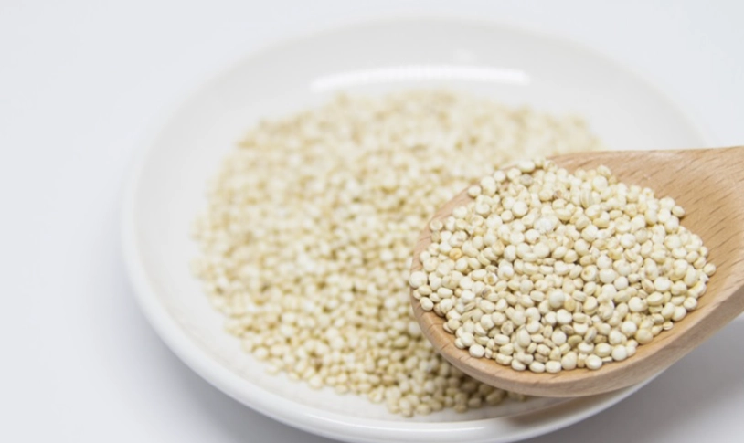 藜麥磷含量高嗎？腎臟病患與健康飲食者的聰明吃法指南