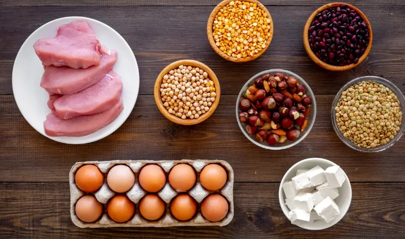 蛋白質吸收方法 蛋白質吸收方法