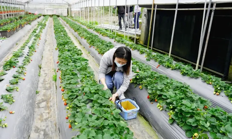 親子農場推薦 親子農場推薦