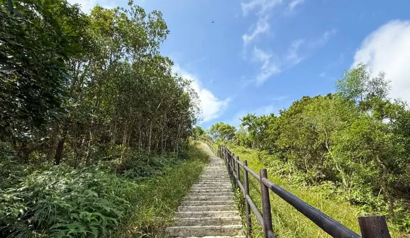 台灣2小時行山路線全攻略：新手入門到進階健行推薦