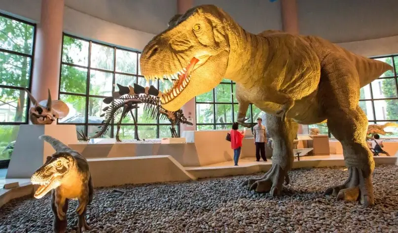 台中旅遊套裝 台中旅遊套裝