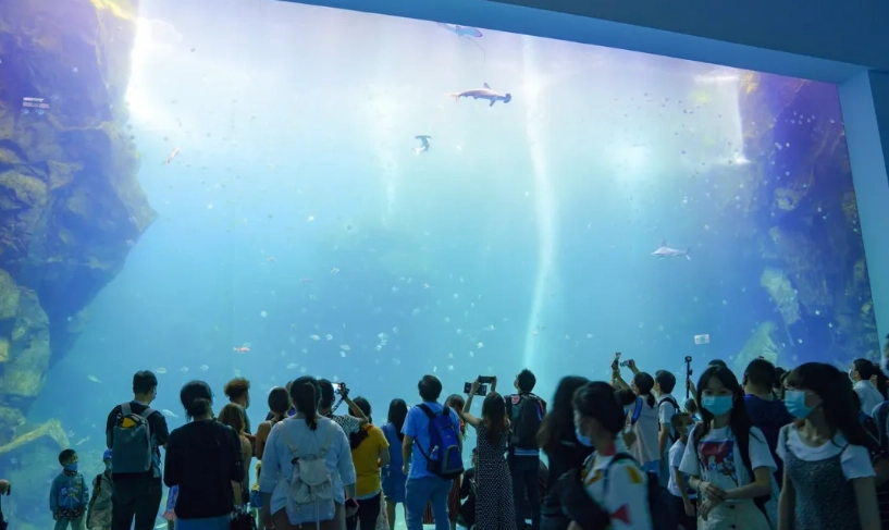 桃園一日遊行程 桃園一日遊行程