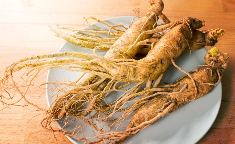 高麗蔘禁忌 高麗蔘禁忌