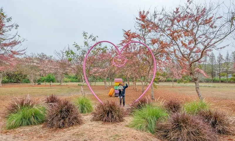 斗六新景點全攻略：隱藏寶藏與實用資訊一網打盡