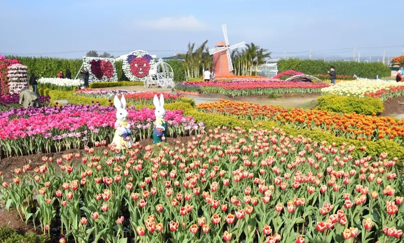 老人友善景點 老人友善景點