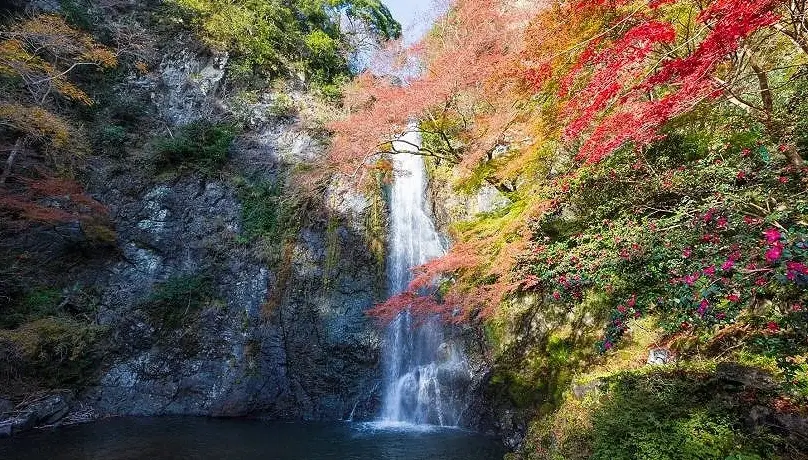 關西冷門景點深度探索：三個連日本人都驚豔的隱藏版去處
