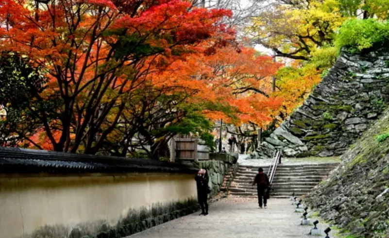和歌山城楓葉 和歌山城楓葉