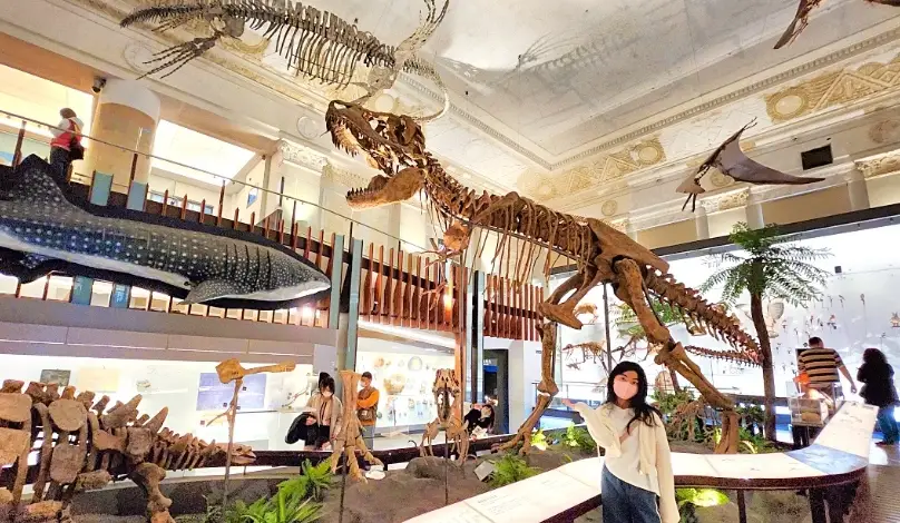 免費室內親子景點台北 免費室內親子景點台北