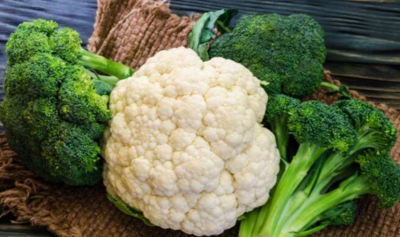 創意食譜 創意食譜