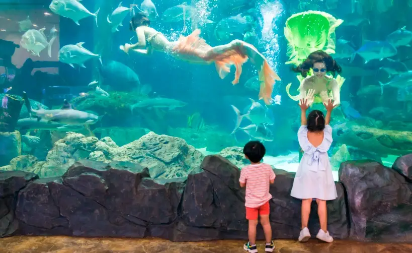 河內親子景點全攻略：帶孩子探索越南首都的文化與樂趣