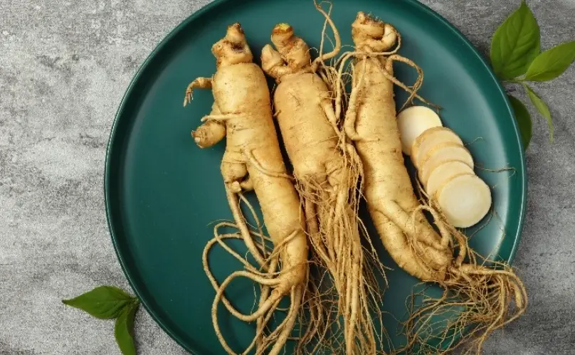 紅蔘怎麼吃 紅蔘怎麼吃