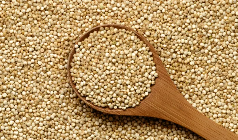 藜麥 腎臟病 藜麥 腎臟病