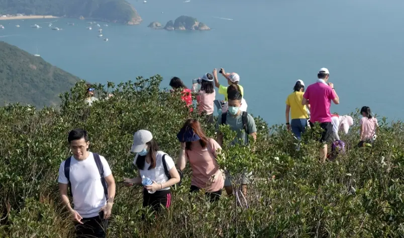 半山行山指南：台北市區的療癒步道與新手入門技巧