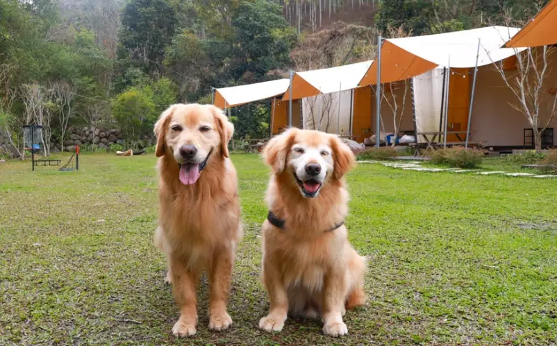 南部懶人露營 南部懶人露營