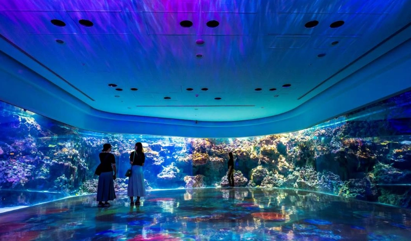 桃園雨天備案 桃園雨天備案