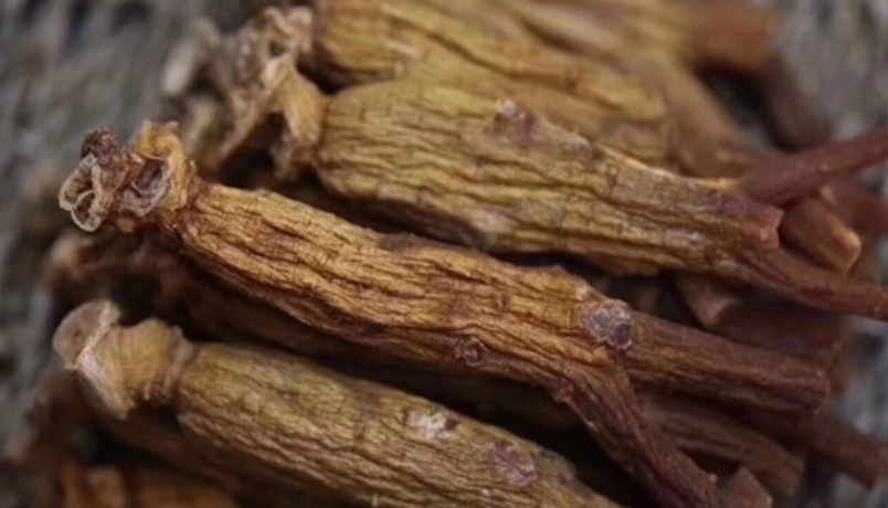 石柱參副作用完整解析：服用前必看的注意事項與安全指南