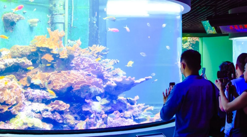 海生館親子行程 海生館親子行程