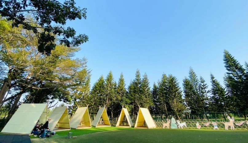 帶狗露營 帶狗露營