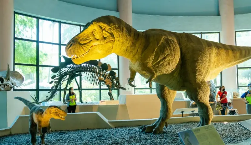 親子雨天去處 親子雨天去處