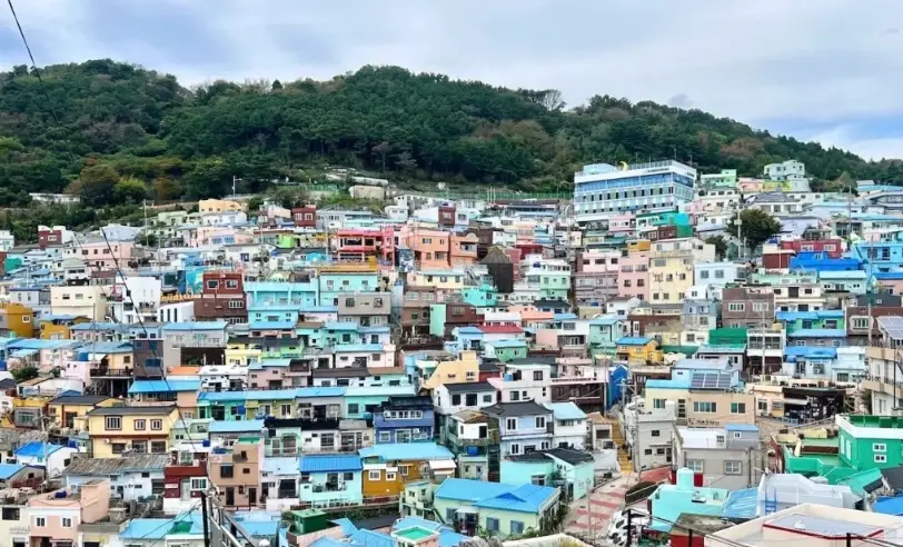 釜山冬天景點 釜山冬天景點