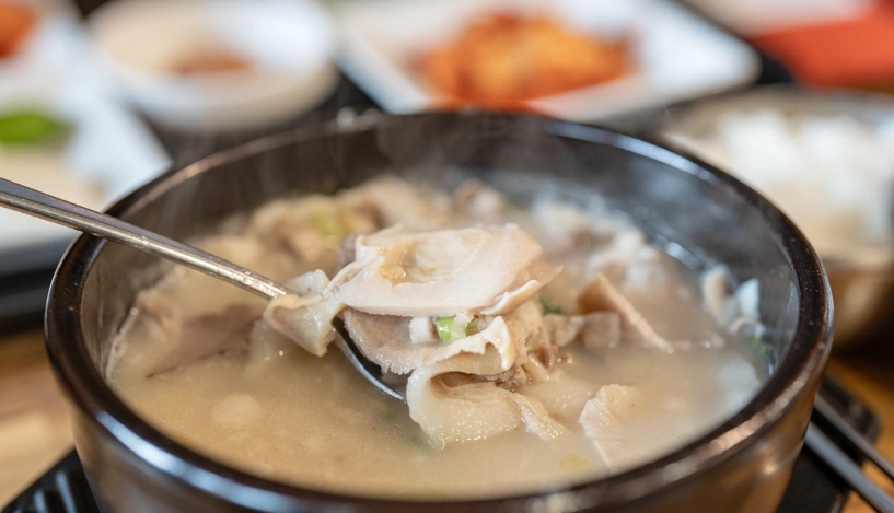 釜山冬季旅遊 釜山冬季旅遊