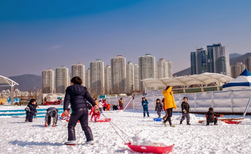 釜山冬季活動全攻略：從冬柏島燈節到海雲台溫泉的暖心玩法