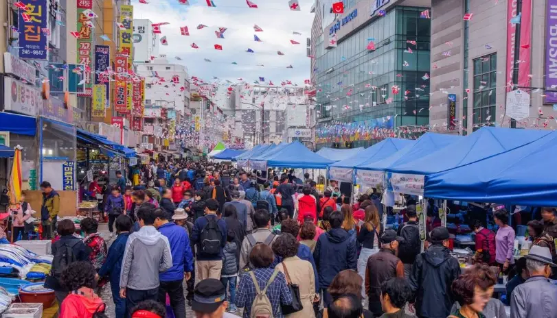 釜山冬柏島燈節 釜山冬柏島燈節