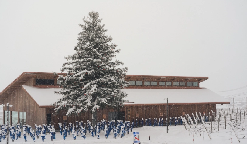 北海道冬天自由行 北海道冬天自由行