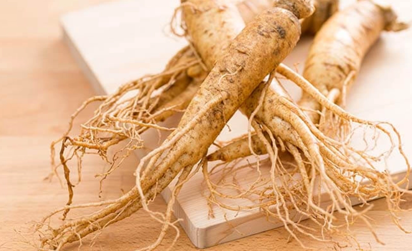 高麗蔘禁忌 高麗蔘禁忌