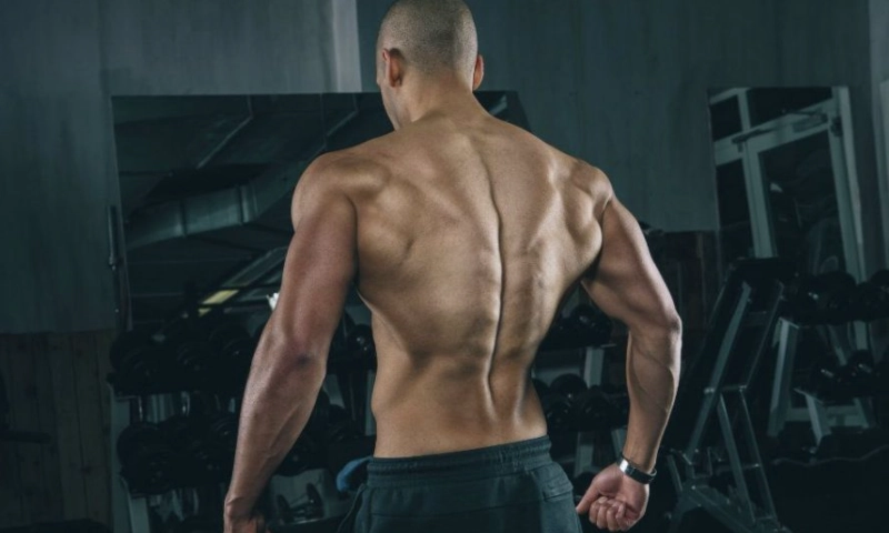 背部訓練 背部訓練