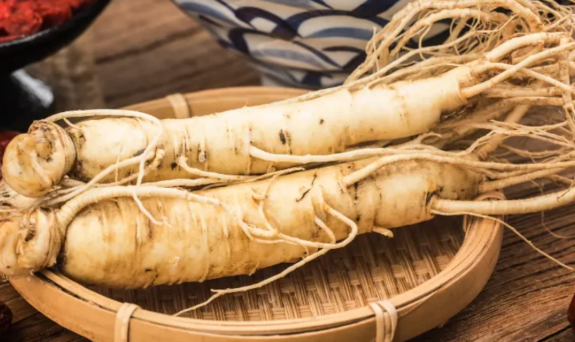 高麗蔘功效與禁忌全解析：這樣吃才有效，避開副作用