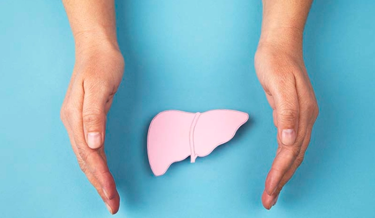 白蛋白如何補充？飲食攝取、保健品與靜脈注射全解析