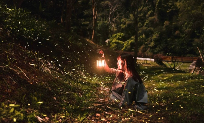 螢火蟲觀賞準備 螢火蟲觀賞準備