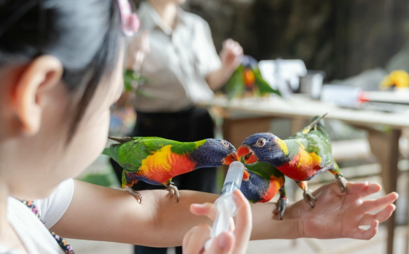 六福村動物體驗門票 六福村動物體驗門票