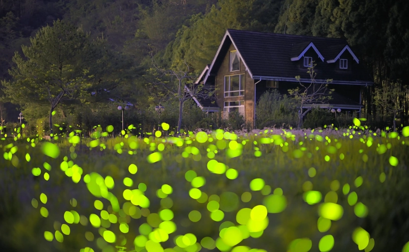 賞螢裝備清單 賞螢裝備清單