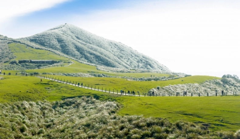 台北不塞车旅游 台北不塞车旅游
