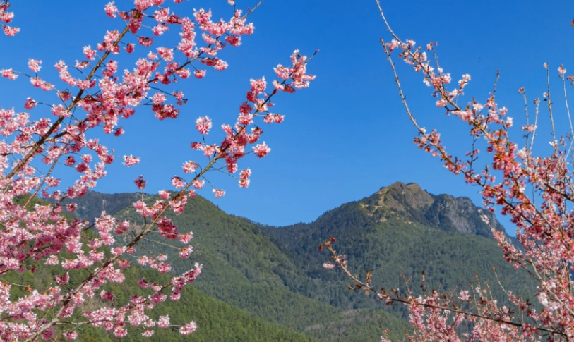 新北不塞车一日游 新北不塞车一日游