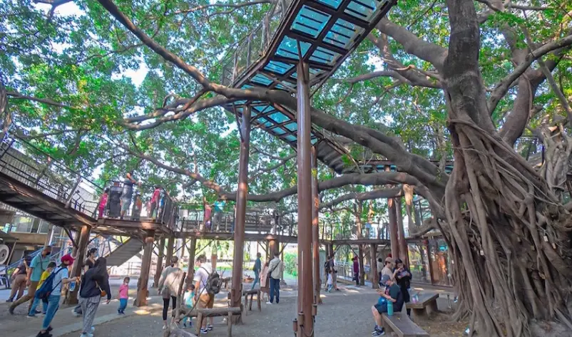 嘉義親子景點 嘉義親子景點