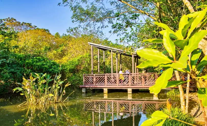 桃園景點一日遊完整攻略：行程規劃、交通與必玩景點推薦