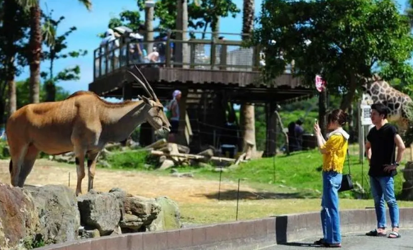 大阪到和歌山巴士 大阪到和歌山巴士