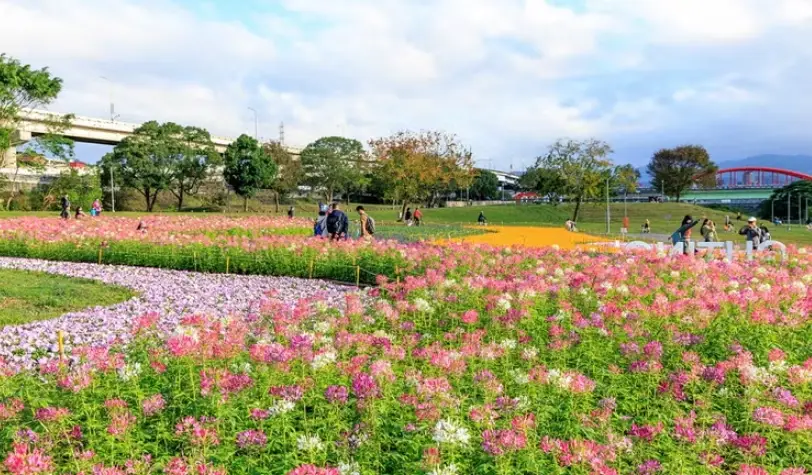 北部不塞車景點推薦：避開人潮的私房去處與實用攻略