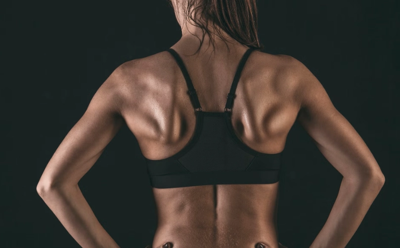 背肌訓練動作全攻略：從解剖到課表，打造立體背肌