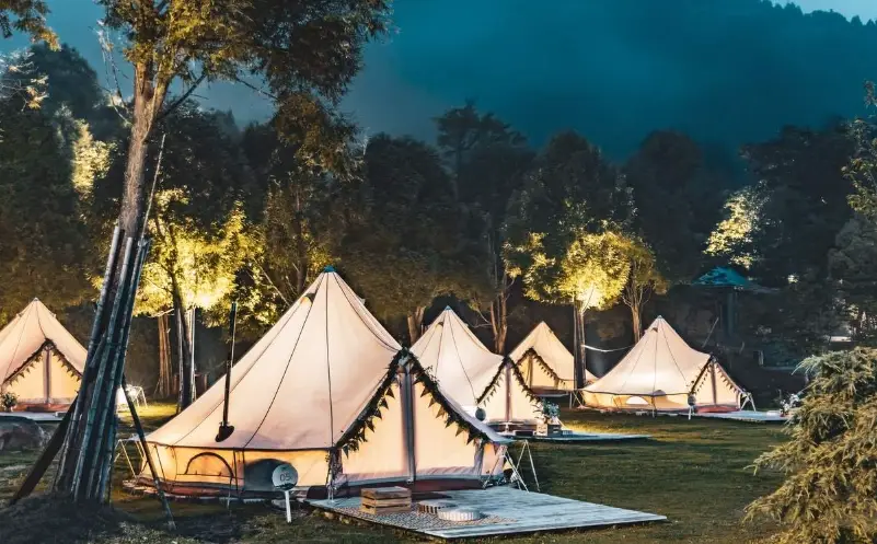 豪華露營可帶寵物全攻略：從行前準備到營地推薦，與毛孩共度完美假期